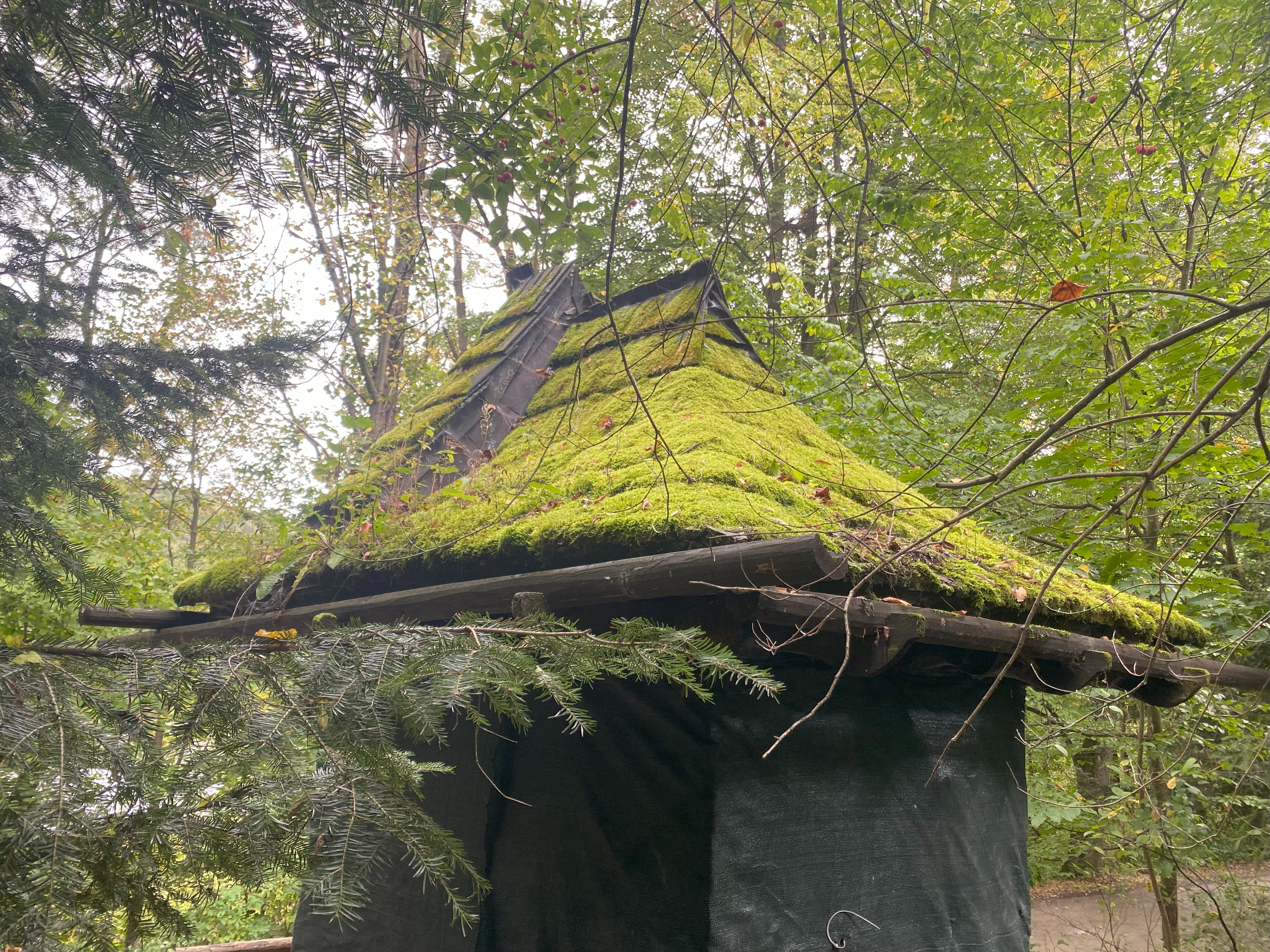 Bardeaux de bois